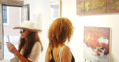 《众声回响：宣言》国际艺术展于第61届威尼斯双年展期间在威尼斯开展